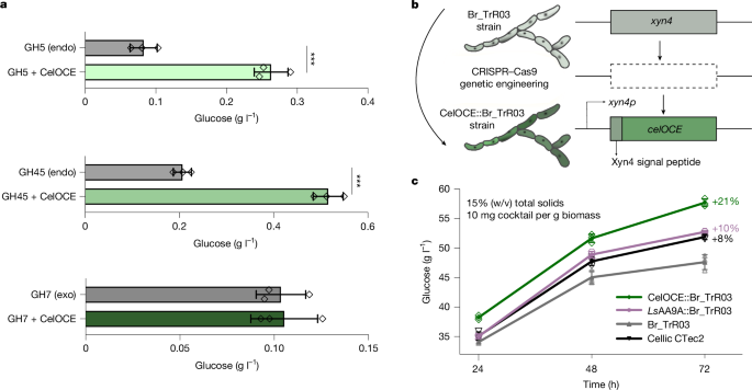Fig. 5: Complementary role with classical&nbsp;cellulases.