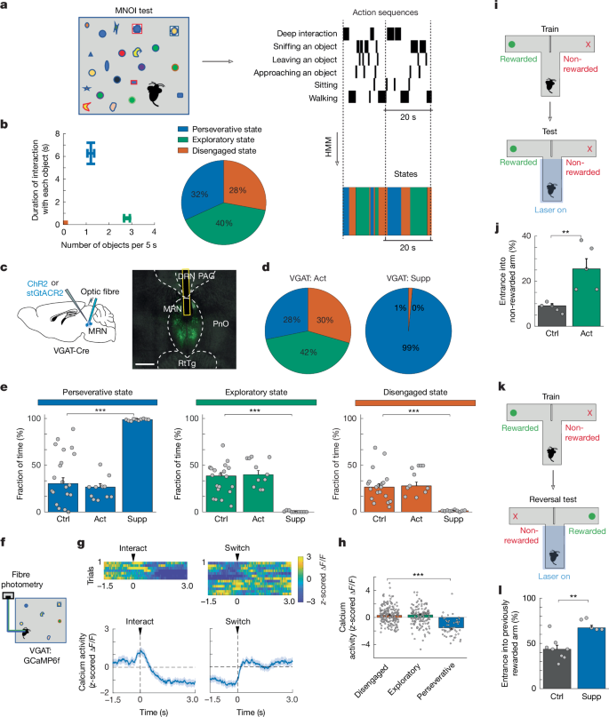 Fig. 1: VGAT-expressing MRN neurons control perseverative state.