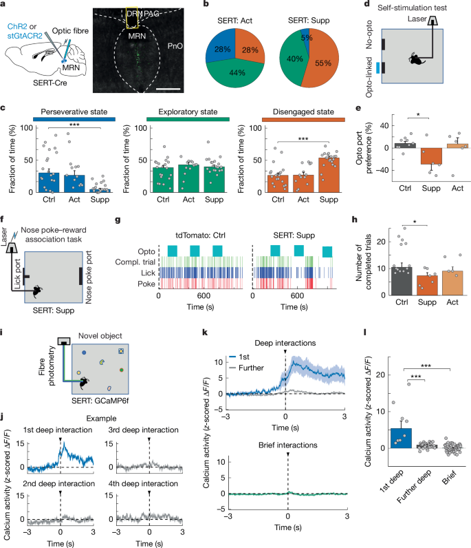 Fig. 4: Activity of SERT-expressing MRN neurons is necessary for task engagement.