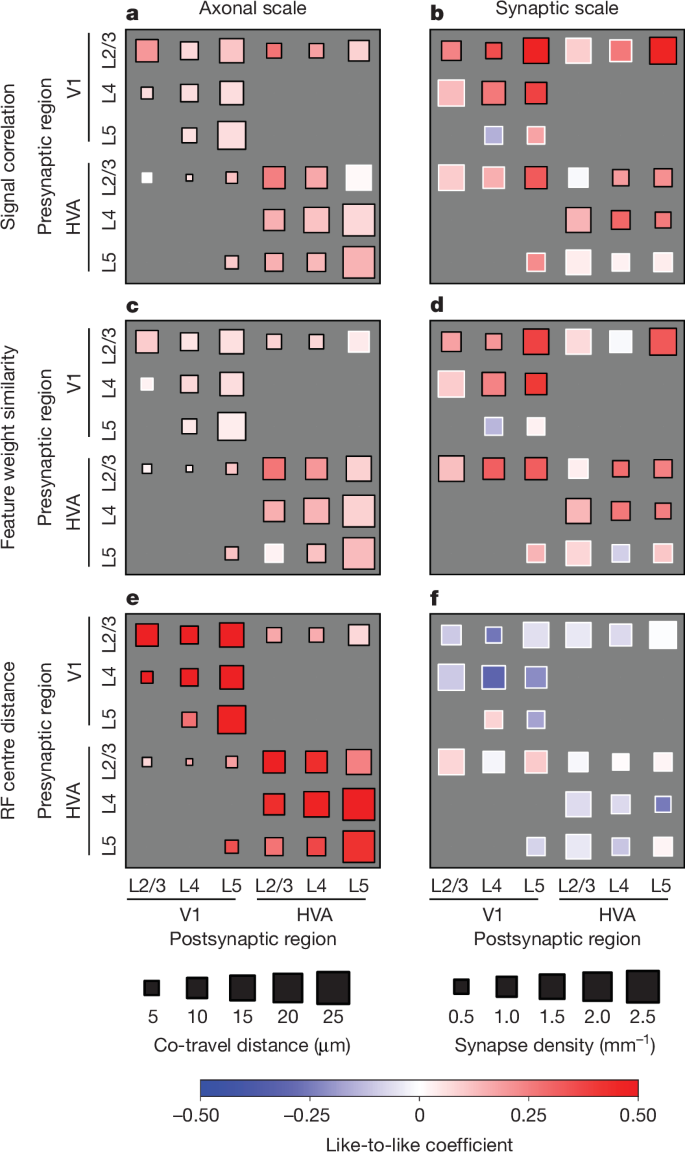Fig. 4: Like-to-like effects are widespread but vary across brain areas, cortical layers and tuning similarity metrics.