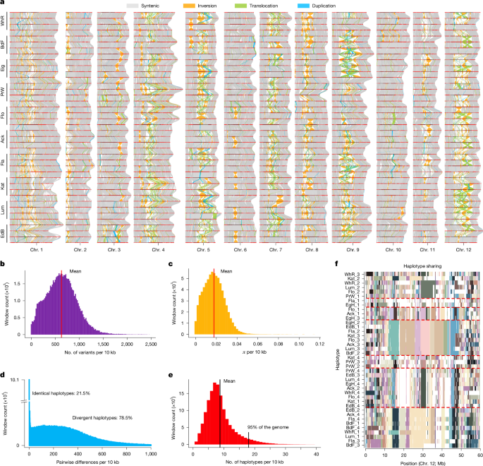 Fig. 2: Genetic and haplotype diversity in European potato.
