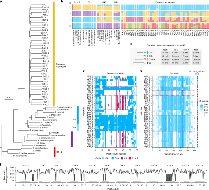 Fig. 3: Evidence of introgression and gene flow in European potato.