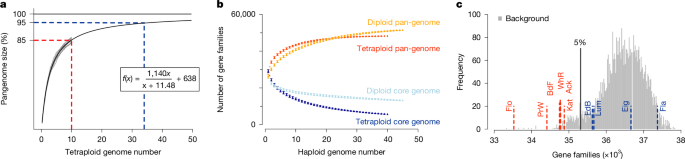 Fig. 4: Potato pan-genome analysis.