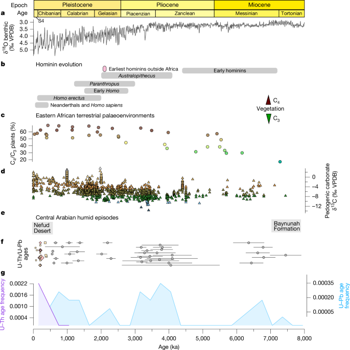 Fig. 2: Central Arabian speleothems reveal the episodic occurrence of humid intervals over the past 8 Myr.