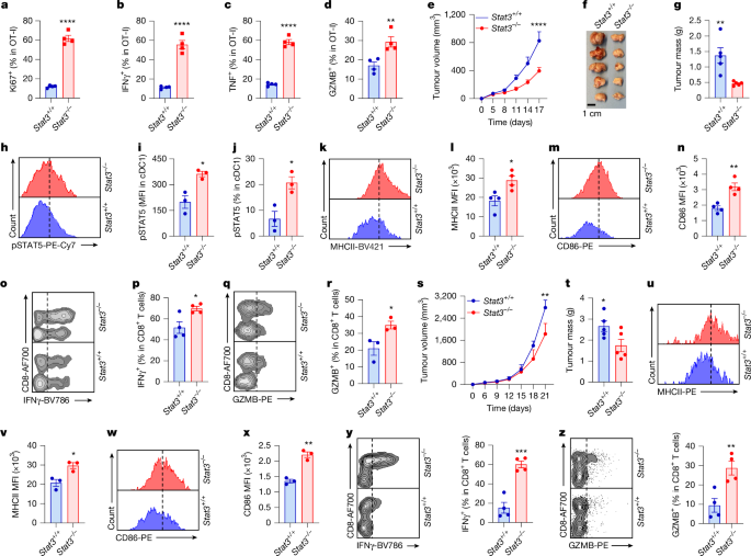 Fig. 3: STAT3 dampens DC1-mediated immunity.