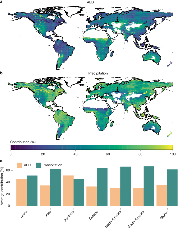 Fig. 4: Percentage contribution of AED and precipitation to trends in 6-month SPEI.