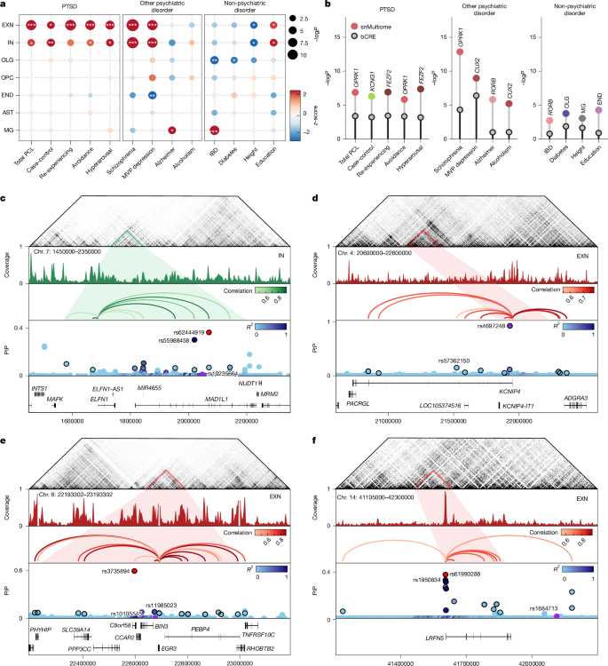 Fig. 5: Cell-type-specific cis-regulation at PTSD disease genetic risk loci.