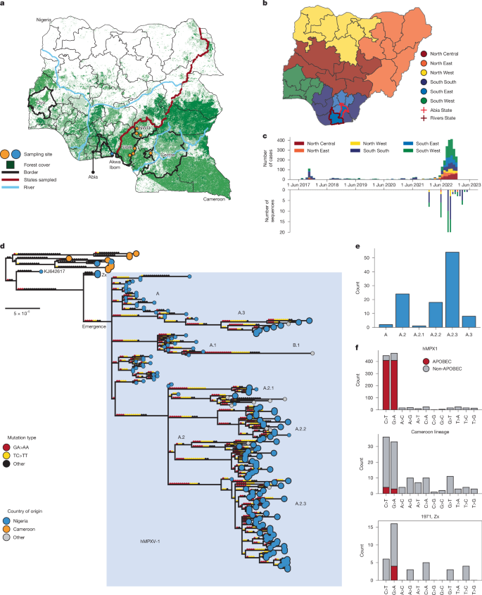 Fig. 1: Drivers of mpox cases in Cameroon and Nigeria.