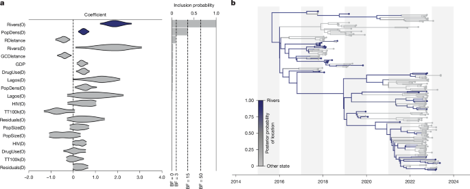 Fig. 5: Drivers of spatiotemporal patterns of hMPXV-1 in Nigeria.