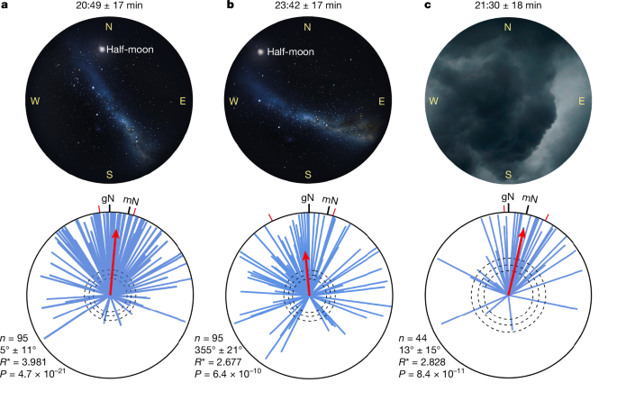 Fig. 2: Bogong moth navigation under natural night skies.