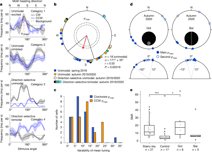 Fig. 4: Brain visual neurons respond to rotations of the night sky.