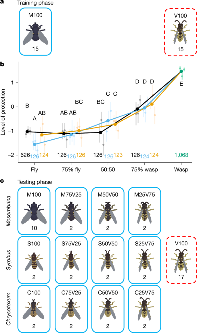 Fig. 2: Discrimination ability of great tits.