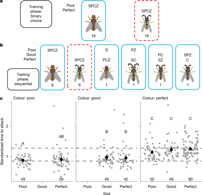 Fig. 4: Chick behavioural response to multiple traits.
