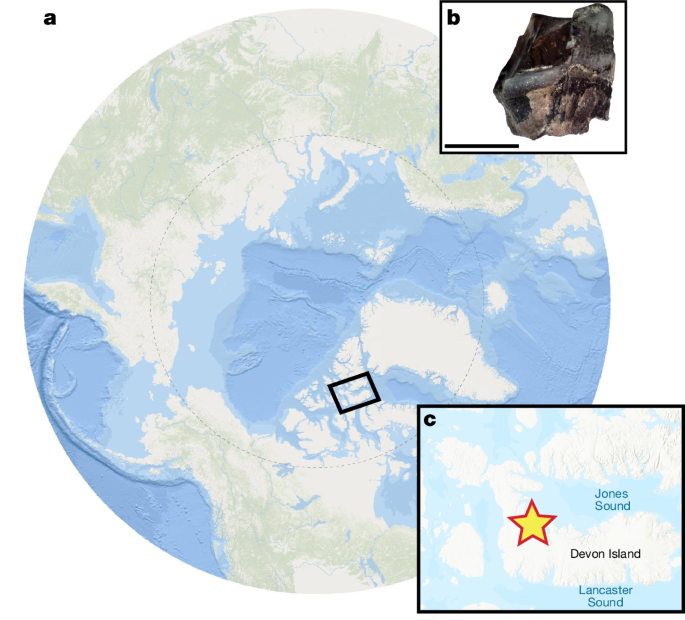 Fig. 1: The high-latitude Haughton Crater on Devon Island has produced a highly endemic vertebrate fauna.