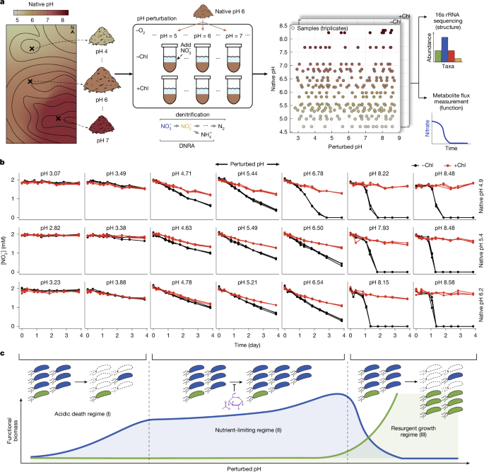 Fig. 1: Soil microbiome metabolite dynamics under short-term and long-term pH variation.