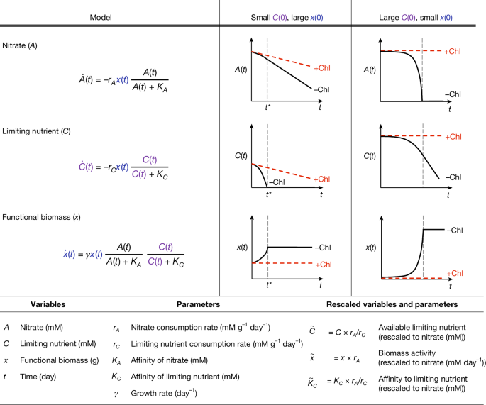 Fig. 2: Consumer-resource model describes metabolite dynamics.