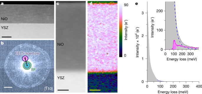 Magnon spectroscopy in the electron microscope 3 figure 4