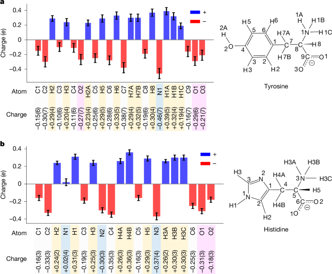 Fig. 4: Experimental partial charges&nbsp;for amino acids.
