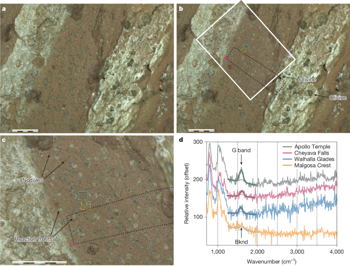Fig. 3: Layering, nodules, reaction fronts and organic detections.