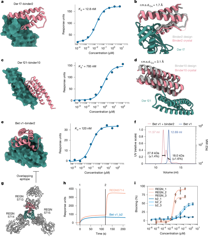 Fig. 3: Designs occluding epitopes of common allergens.