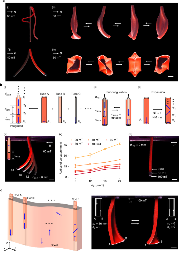 Fig. 1: Illustration of the real-time in situ magnetization reprogramming method.