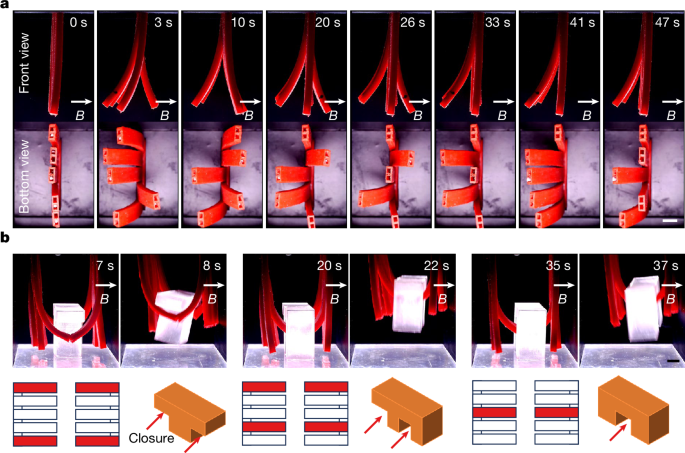 Fig. 5: Shape-adaptable gripping demonstration.