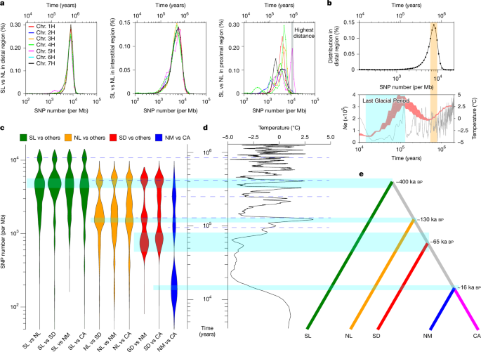 Fig. 2: Evolutionary history of wild barley.