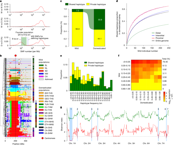 Fig. 3: Haplotype diversity in wild and domesticated barley.