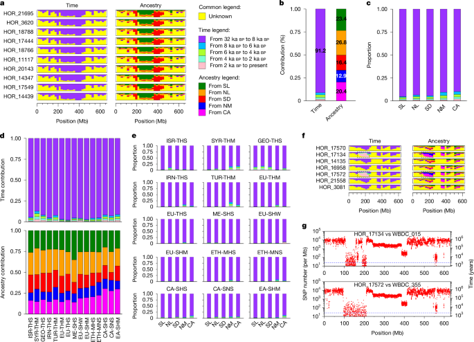 Fig. 4: Spatial and temporal origins of haplotypes in domesticated barley.