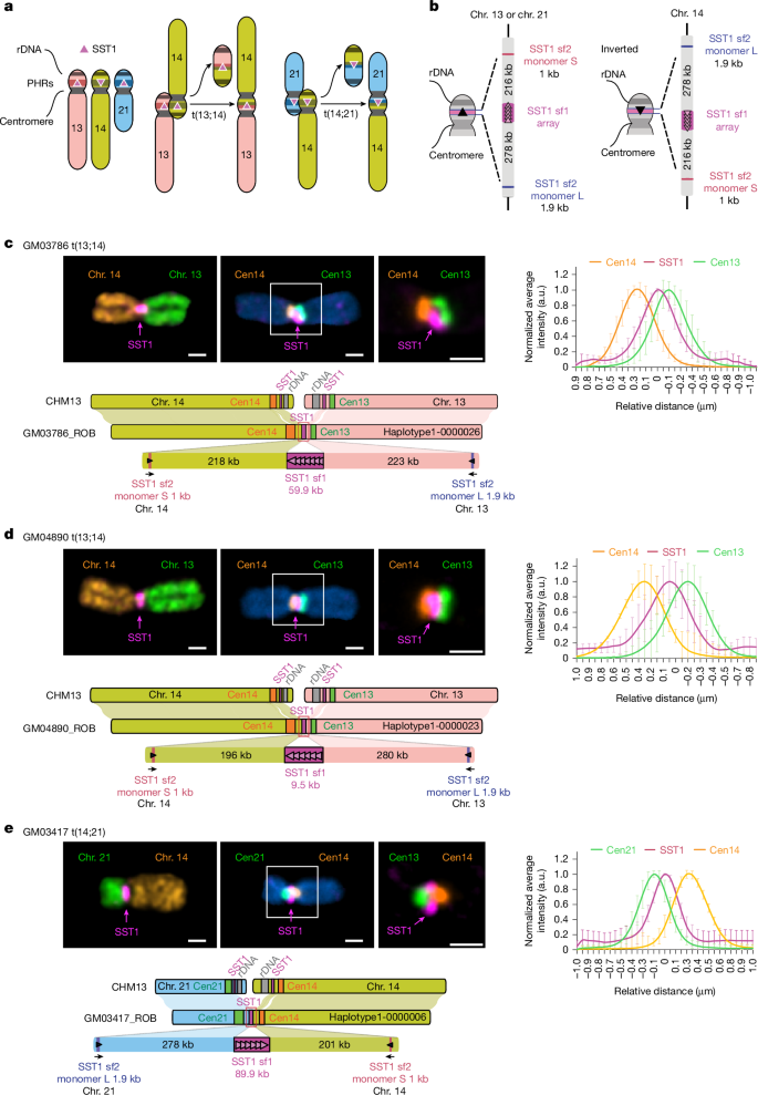 Fig. 1: Complete assembly of ROBs.