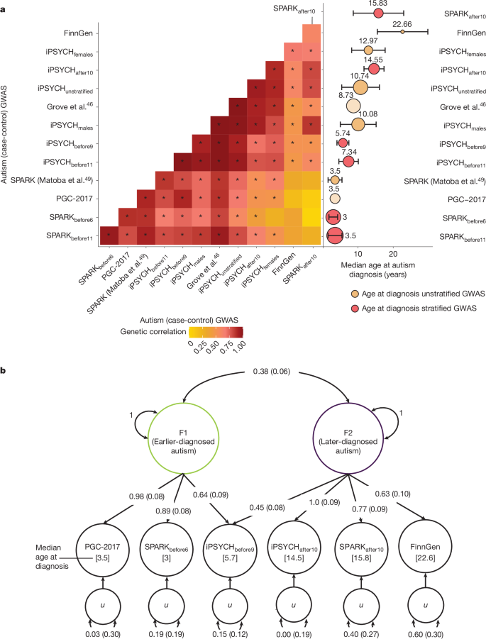 Fig. 4: Two genetic latent factors in autism.