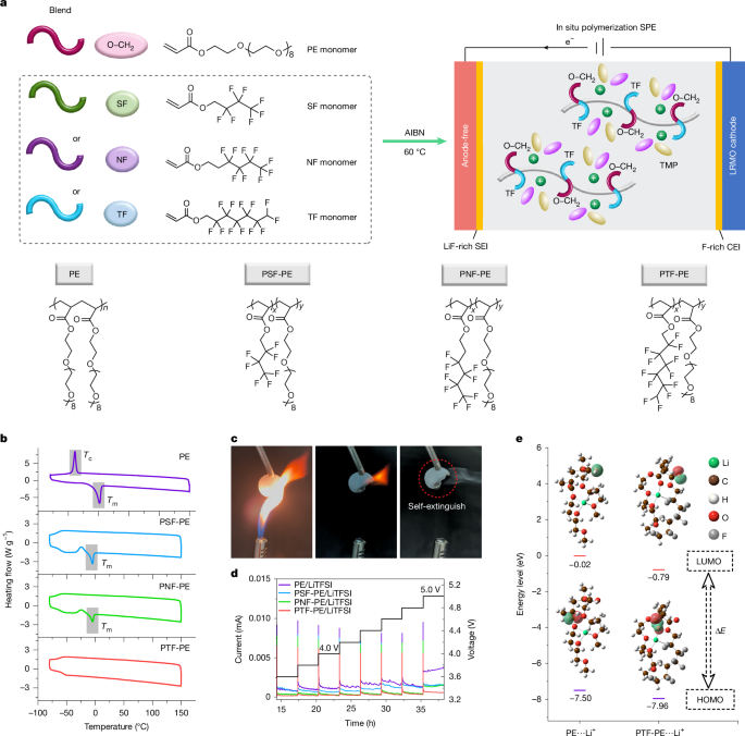 Tailoring polymer electrolyte solvation for 600 Wh kg−1 lithium ...