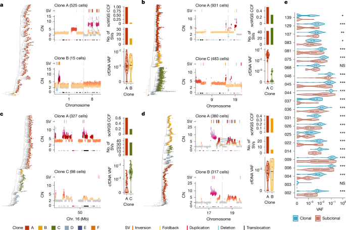 Fig. 3: Detecting clone-specific SVs in cfDNA.