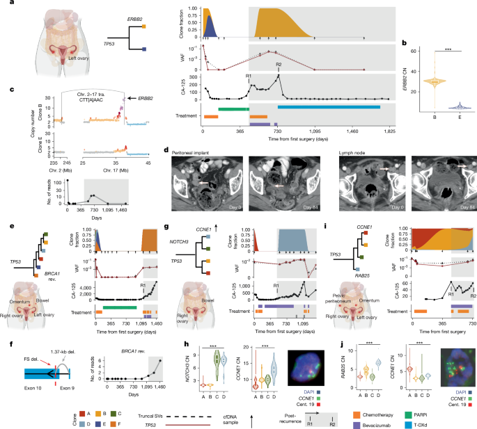 Fig. 4: Clonal evolution of drug resistance in patients.
