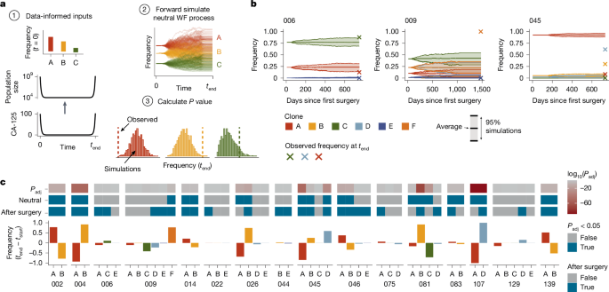 Fig. 6: Evolutionary modelling.