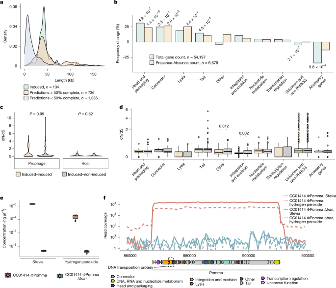Fig. 3: Comparison of induced versus predicted prophages.