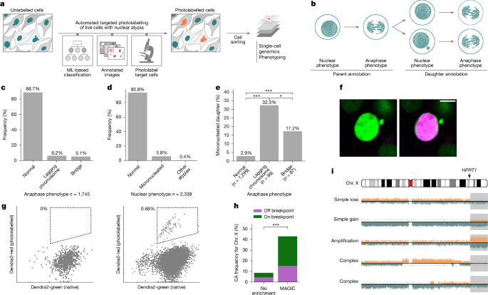 Fig. 1: MAGIC enables characterization of de novo CAs at scale.