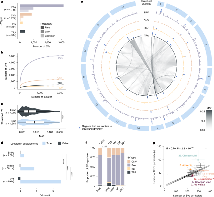 Fig. 2: SV landscape.