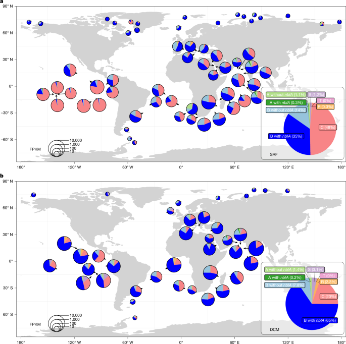 Fig. 5: The global distribution of T7-like cyanophages with and without nblA genes.