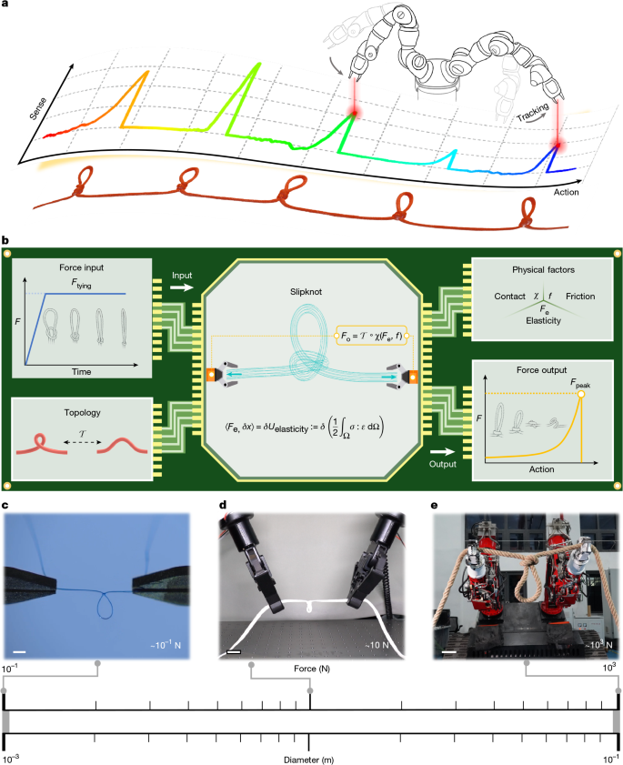 Fig. 1: Schematic of mechanical information transmission in a string by slipknots.