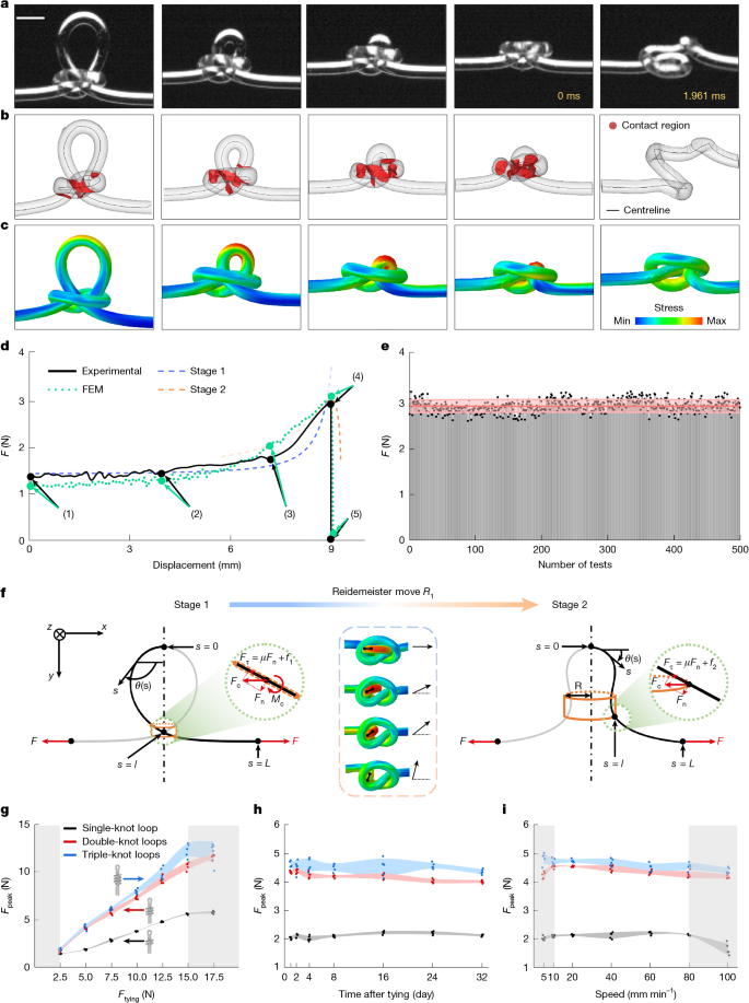 Fig. 2: Mechanical modelling and characterization of slipknots.