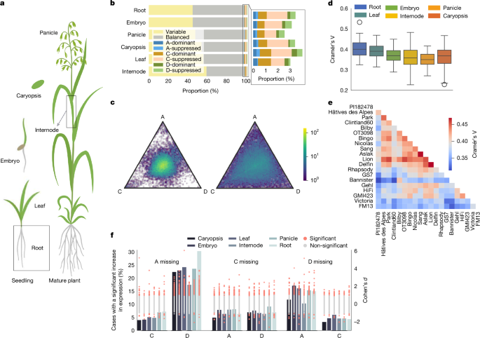 Fig. 2: An oat pantranscriptome.