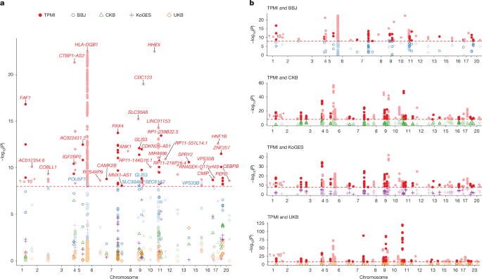 Fig. 4: Comparison of T2D GWAS results in the TPMI with those from four biobanks.