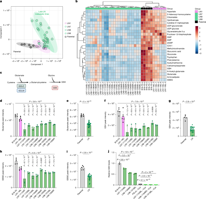 Fig. 2: De novo GSH synthesis is reduced in LN metastatic melanoma cells.