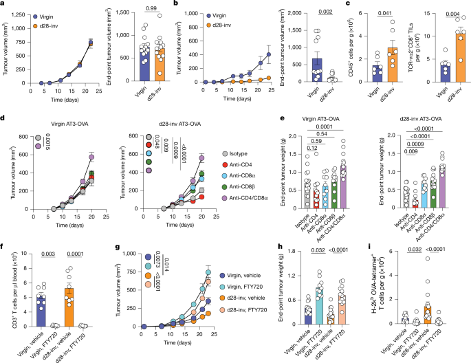 Fig. 4: Parity-induced protection against breast cancer is mediated by CD8+ T cells.