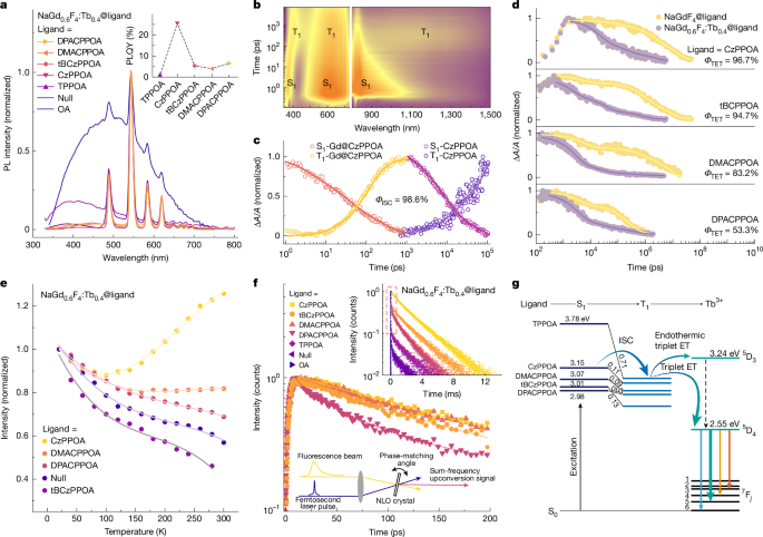 Fig. 2: Photophysical properties of NaGd1-xF4:Tbx@ArPPOA nanohybrids.
