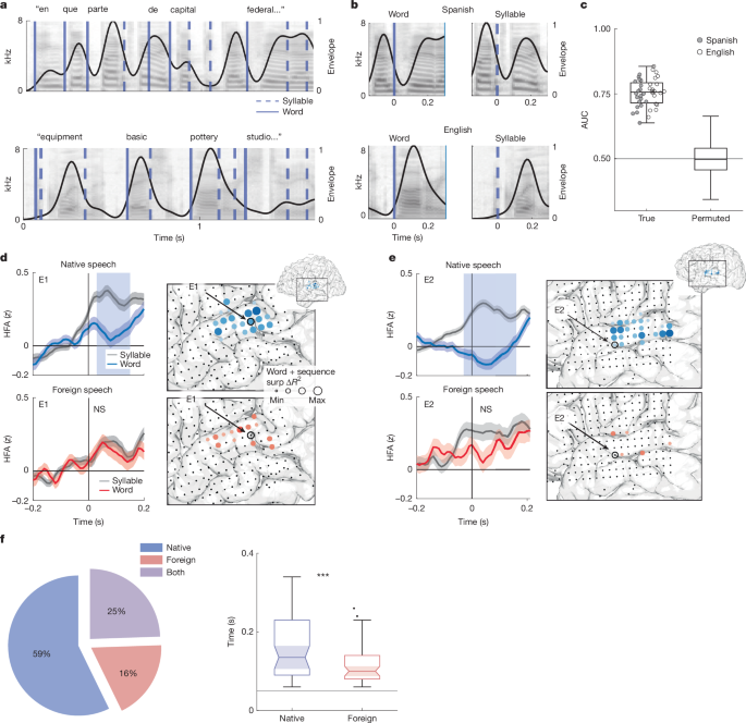 Fig. 3: Enhanced discrimination between word and syllable boundaries in native speech.