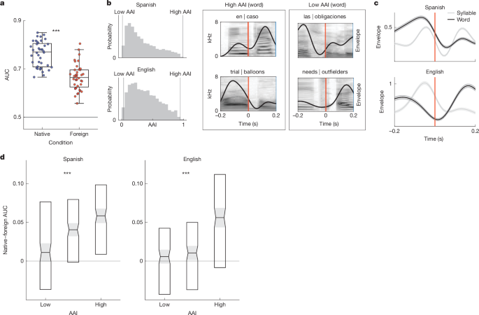 Fig. 4: Enhanced neural word-boundary decoding in native speech.