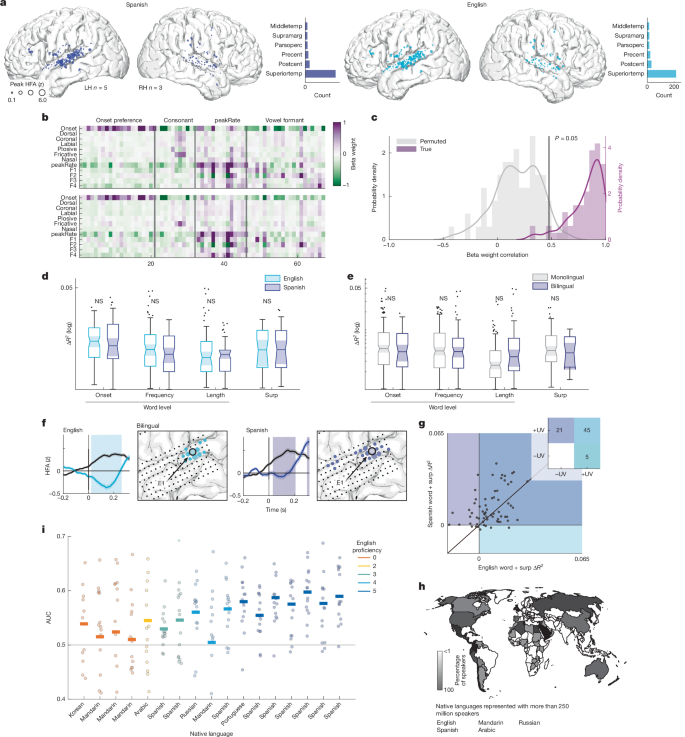 Fig. 5: Bilingual listeners show neural encoding of word-level features and phoneme surprisal for both familiar languages.