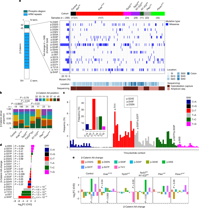 Fig. 2: Priming selects for different mutational patterns in Ctnnb1.